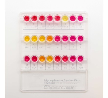 Набор Mycoplasma System Plus для идентификации и антибиотикочувствительности микоплазм, Liofilchem, 20 тестов