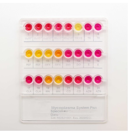 Набор Mycoplasma System Plus для идентификации и антибиотикочувствительности микоплазм, Liofilchem, 20 тестов