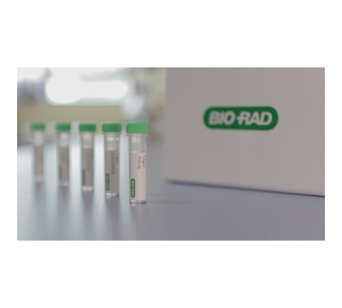 Диски Цефотаксим/клавуланат 5/10 мкг, Bio-Rad, 4 × 50 шт.