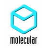 Molecular products Limited, Великобритания